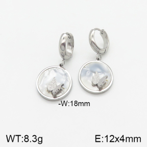 Stainless Steel Earrings  5E4001729bbml-434