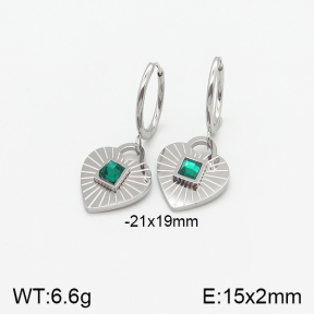 Stainless Steel Earrings  5E4001731vbmb-434