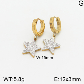 Stainless Steel Earrings  5E4001734vbmb-434