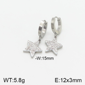 Stainless Steel Earrings  5E4001735vbll-434