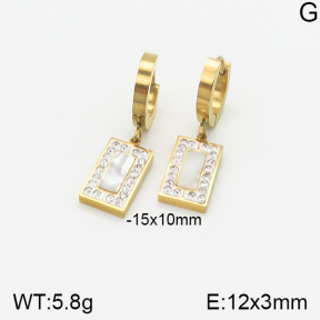 Stainless Steel Earrings  5E4001736bbml-434