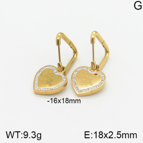 Stainless Steel Earrings  5E4001739vbnl-434