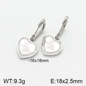 Stainless Steel Earrings  5E4001740vbnb-434