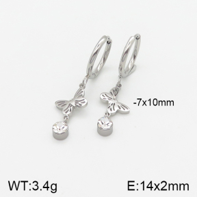 Stainless Steel Earrings  5E4001746vbmb-434