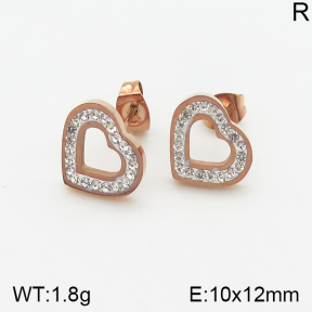 Stainless Steel Earrings  5E4001748ablb-434