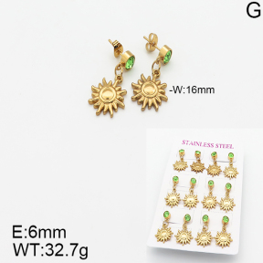 Stainless Steel Earrings  5E4001790vhov-446