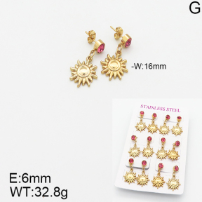 Stainless Steel Earrings  5E4001793vhov-446