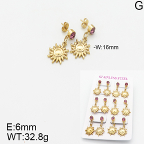 Stainless Steel Earrings  5E4001794vhov-446