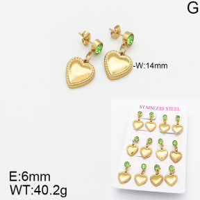 Stainless Steel Earrings  5E4001811vhov-446