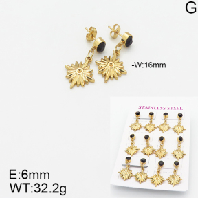 Stainless Steel Earrings  5E4001812vhov-446