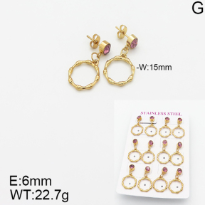 Stainless Steel Earrings  5E4001815vhov-446