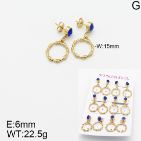 Stainless Steel Earrings  5E4001816vhov-446