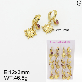 Stainless Steel Earrings  5E4001873vhpo-446