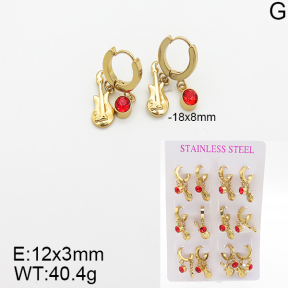 Stainless Steel Earrings  5E4001881vhpo-446