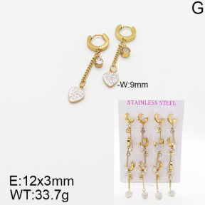 Stainless Steel Earrings  5E4001892vihb-446