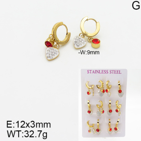 Stainless Steel Earrings  5E4001895vhpo-446