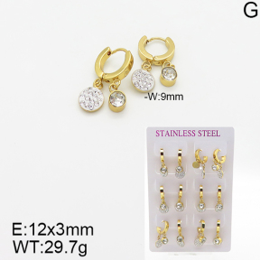 Stainless Steel Earrings  5E4001896vhpo-446