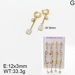 Stainless Steel Earrings  5E4001897vihb-446