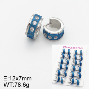 Stainless Steel Earrings  5E4001902bnib-387