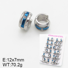 Stainless Steel Earrings  5E4001903amla-387