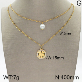 Stainless Steel Necklace  5N3000393bbov-434