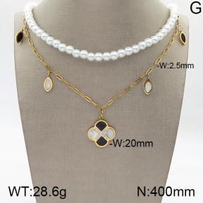 Stainless Steel Necklace  5N3000399bvpl-434