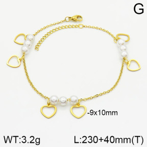 Stainless Steel Anklets  2A9000872vbmb-610