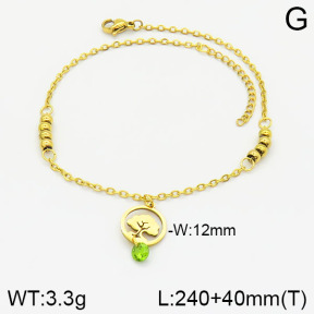 Stainless Steel Anklets  2A9000874ablb-610