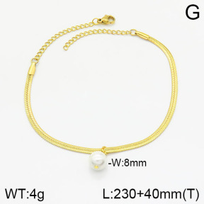 Stainless Steel Anklets  2A9000883ablb-610