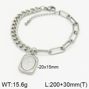 Stainless Steel Bracelet  2B2001838vbnb-436