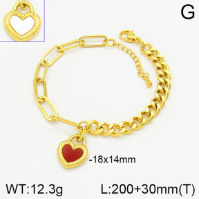 Stainless Steel Bracelet  2B4002169abol-436