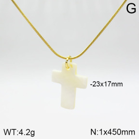 Stainless Steel Necklace  2N3001004bbml-436