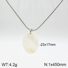 Stainless Steel Necklace  2N3001008vbll-436