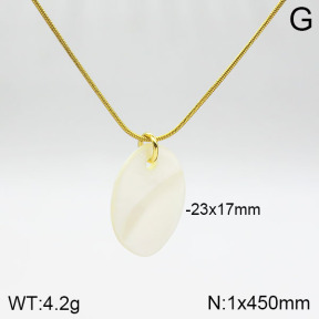Stainless Steel Necklace  2N3001009bbml-436