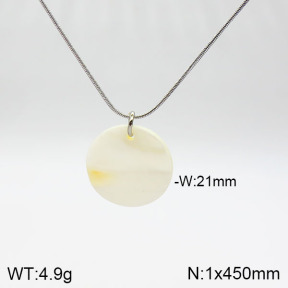 Stainless Steel Necklace  2N3001010vbll-436