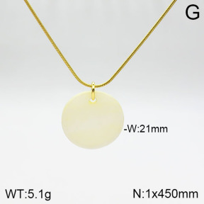 Stainless Steel Necklace  2N3001011bbml-436