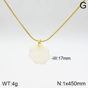 Stainless Steel Necklace  2N3001013bbml-436
