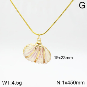 Stainless Steel Necklace  2N3001014vbnl-436