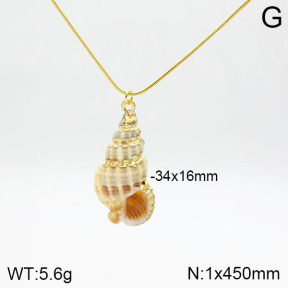 Stainless Steel Necklace  2N3001015vbnl-436
