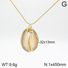 Stainless Steel Necklace  2N3001016vbnl-436