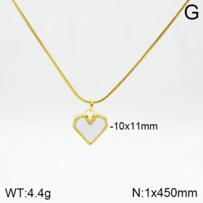 Stainless Steel Necklace  2N3001017bbml-436