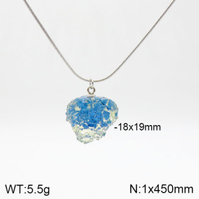 Stainless Steel Necklace  2N4001481vbll-436