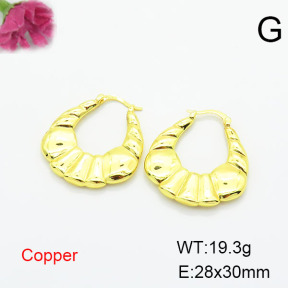 Fashion Copper Earrings  F6E200280vbmb-L002