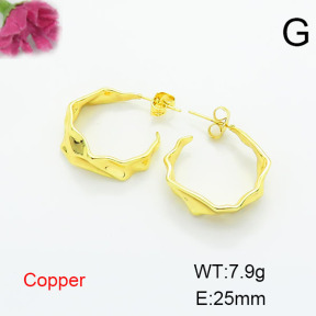 Fashion Copper Earrings  F6E200284ablb-L002