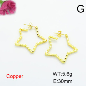 Fashion Copper Earrings  F6E200285vbll-L002