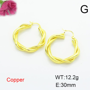 Fashion Copper Earrings  F6E200287vbmb-L002