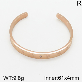 Stainless Steel Bangle  5BA401137vbnb-478