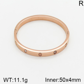 Stainless Steel Bangle  5BA401142vbnb-478
