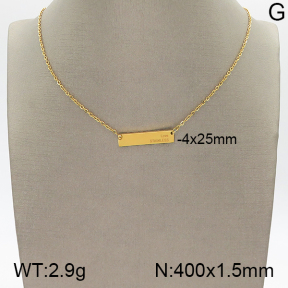 Stainless Steel Necklace  5N2001580vbll-749