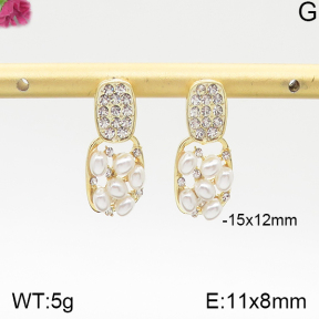 Fashion Earrings  F5E300330vhha-K69